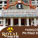 high court
