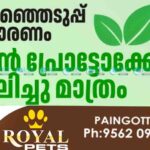 Election green protocol