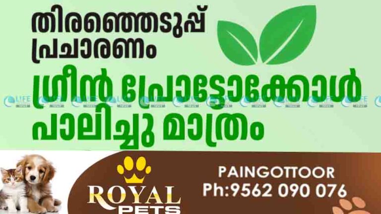 Election green protocol