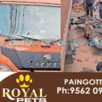 Muvattupuzha accident