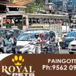 Muvattupuzha traffic