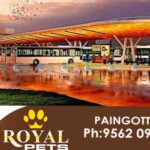 ernakulam ksrtc bus stand