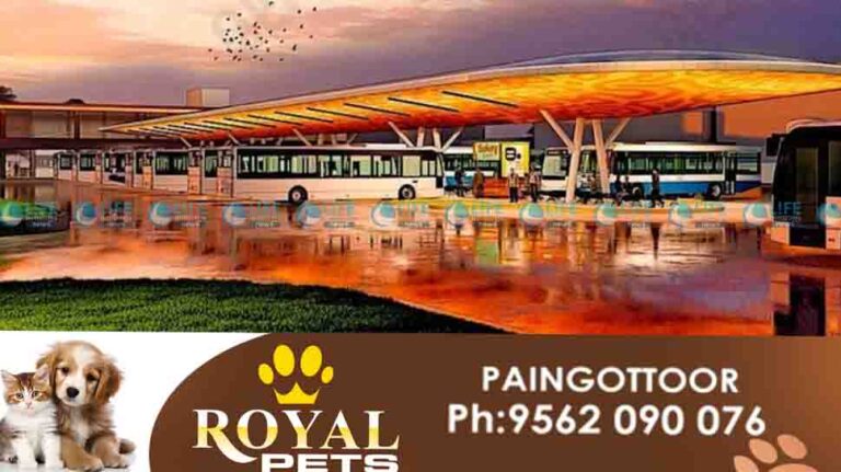 ernakulam ksrtc bus stand