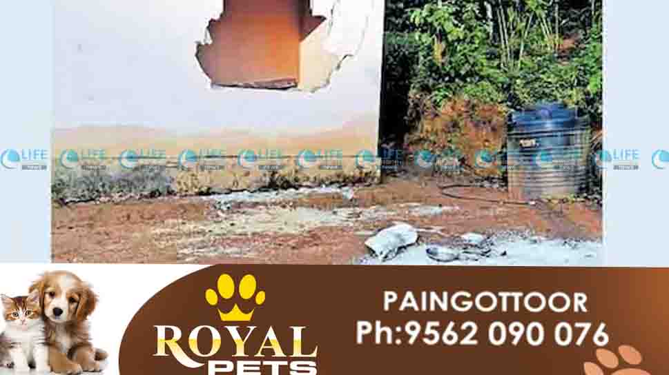 idamalakkudi elephent attack