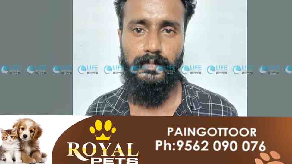 ksrtc muvattupuzha stand