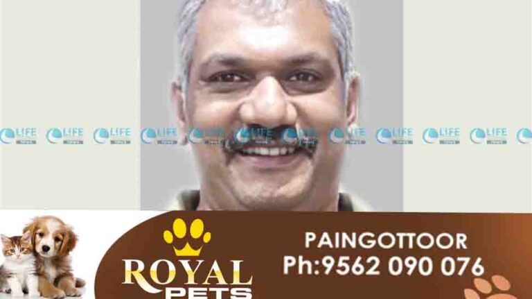 muvattupuzha accident