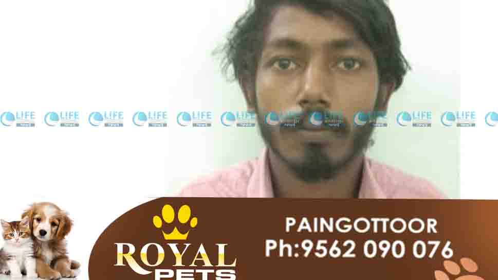 muvattupuzha kanjavu