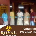 perumbavoor morchary