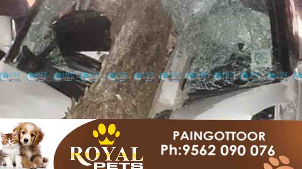 thrissur car accident