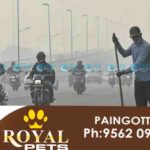 Air pollution in kochi