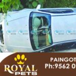 accident muvattupuzha