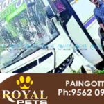 tourist bus accident