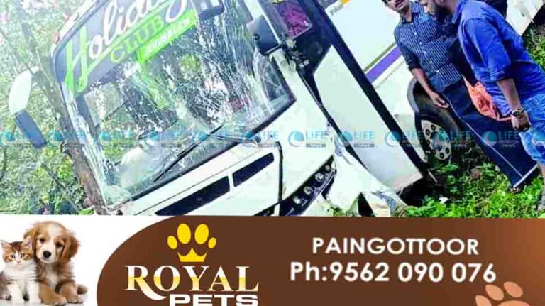 tourist bus accident