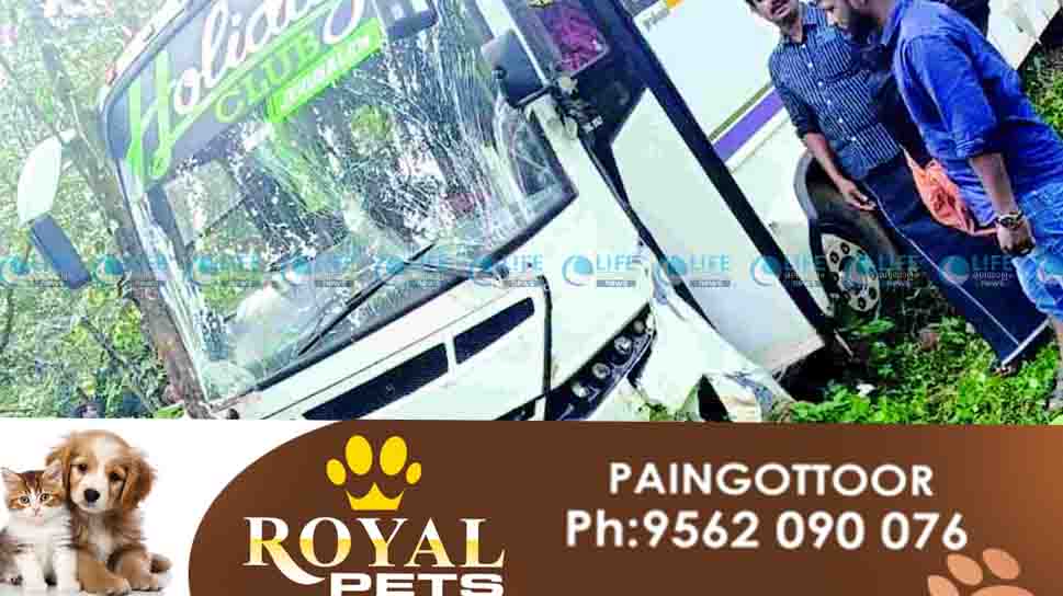 tourist bus accident