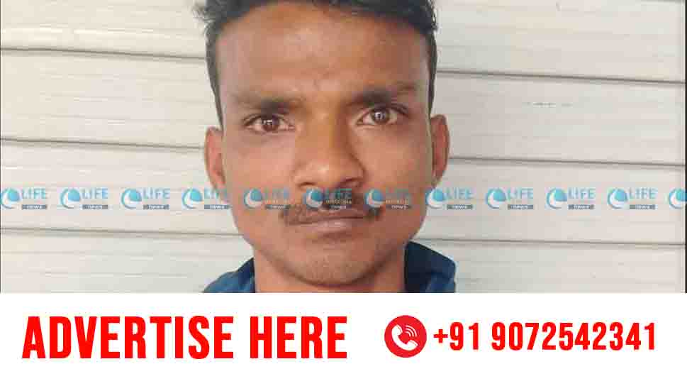 kanchavu perumbavoor