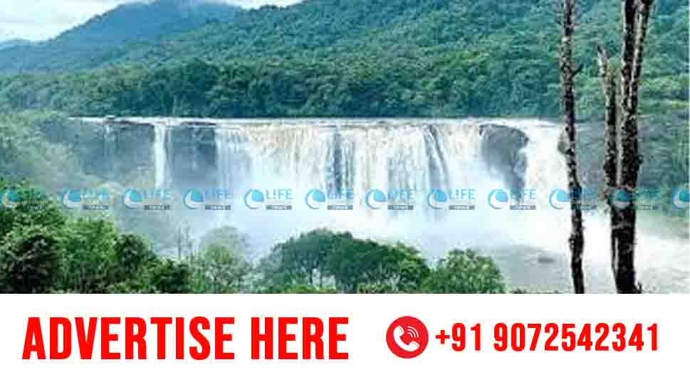 areeckal waterfalls